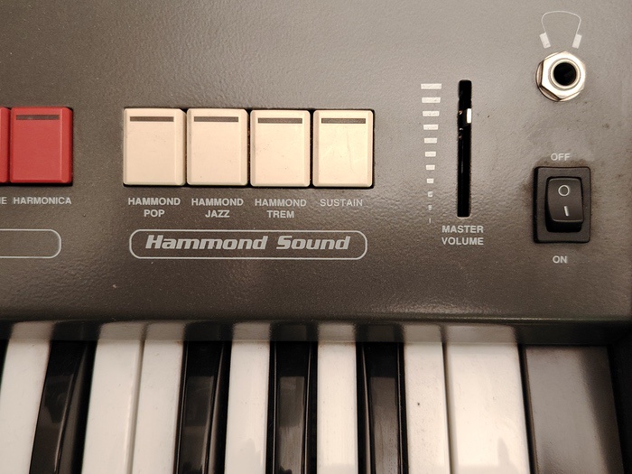 Hammond HS-50 Digital Piper